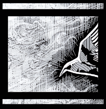 Rooks and Kings