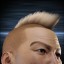 inv portrait