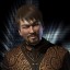 inv portrait