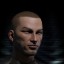 inv portrait