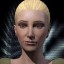 inv portrait