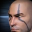 inv portrait