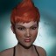 inv portrait