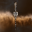 Amarr Control Tower Amarr Control Tower