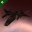 Valkyrie TP-600 Valkyrie TP-600