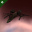 Republic Fleet Warrior Republic Fleet Warrior