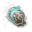 Initiated Compact Warp Disruptor Initiated Compact Warp Disruptor